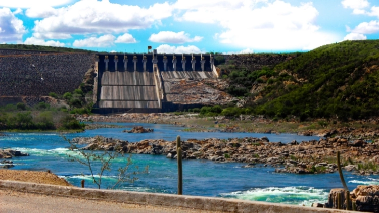 Xing&oacute; - Piranhas 